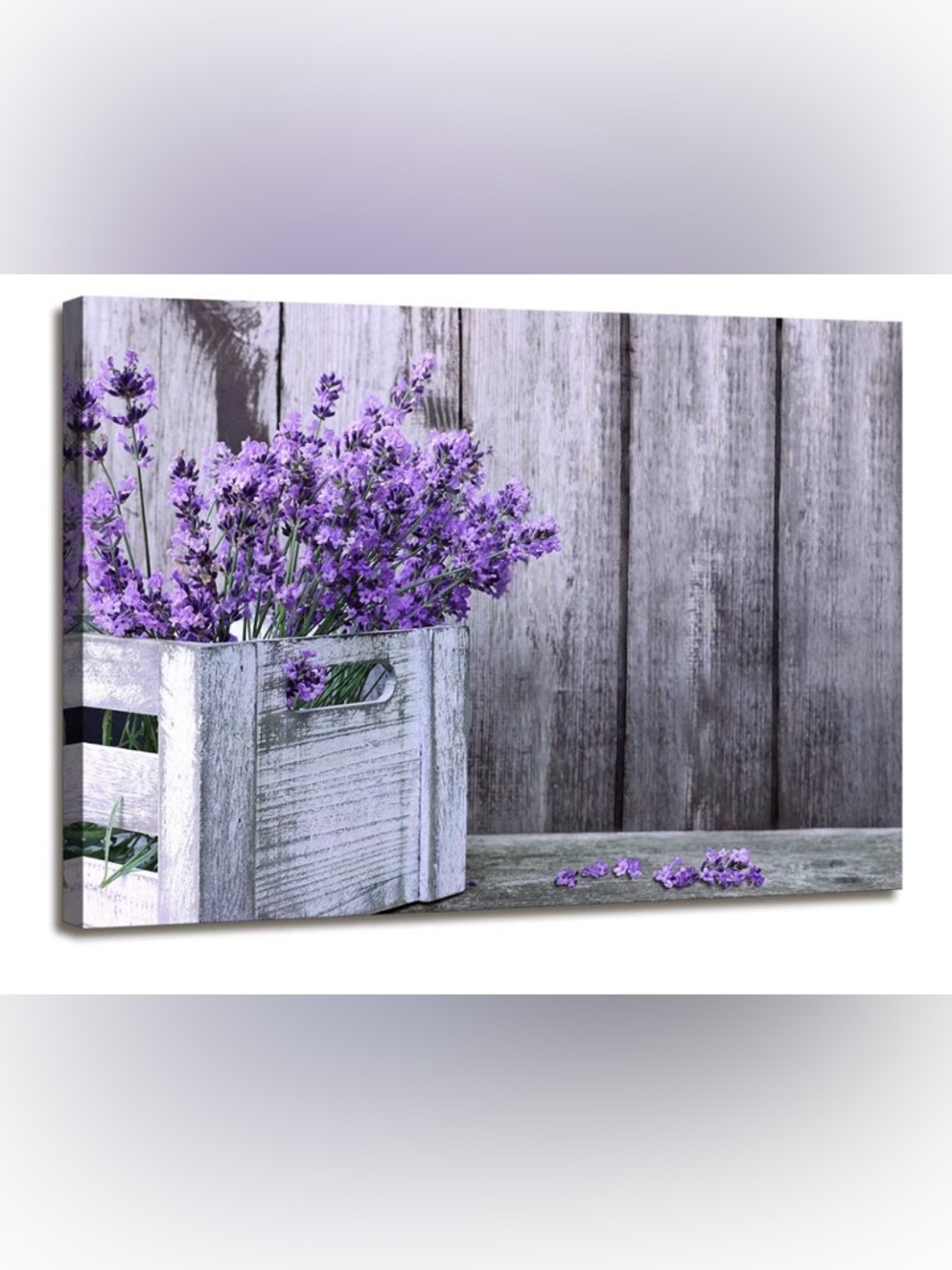 Purple Lavender Canvas Wall Art in Rustic White Crate. Size 16x12